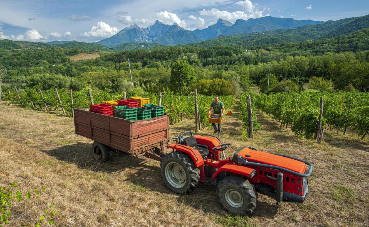 Agriturismo Il Bardellino Fivizzano Ngoại thất bức ảnh