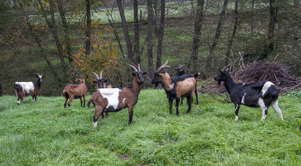 Agriturismo Il Bardellino Fivizzano Ngoại thất bức ảnh