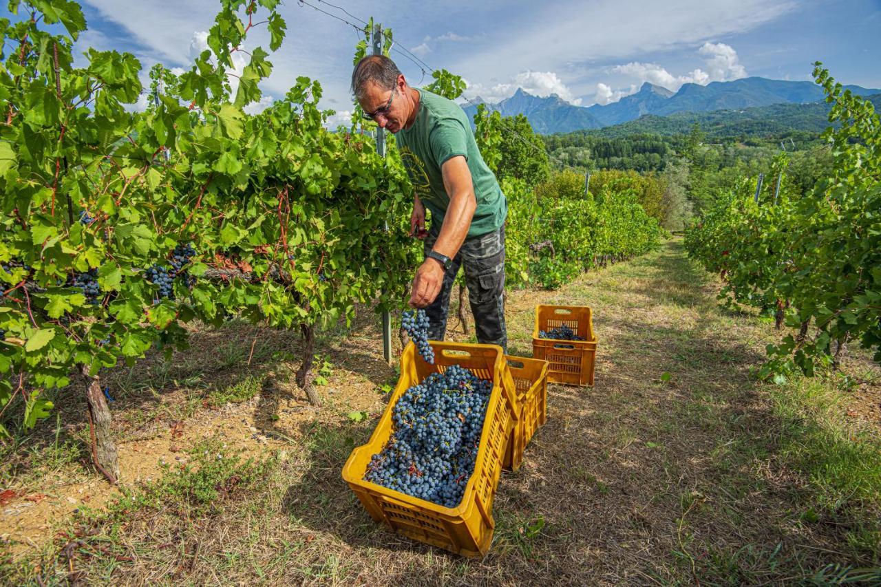 Agriturismo Il Bardellino Fivizzano Ngoại thất bức ảnh