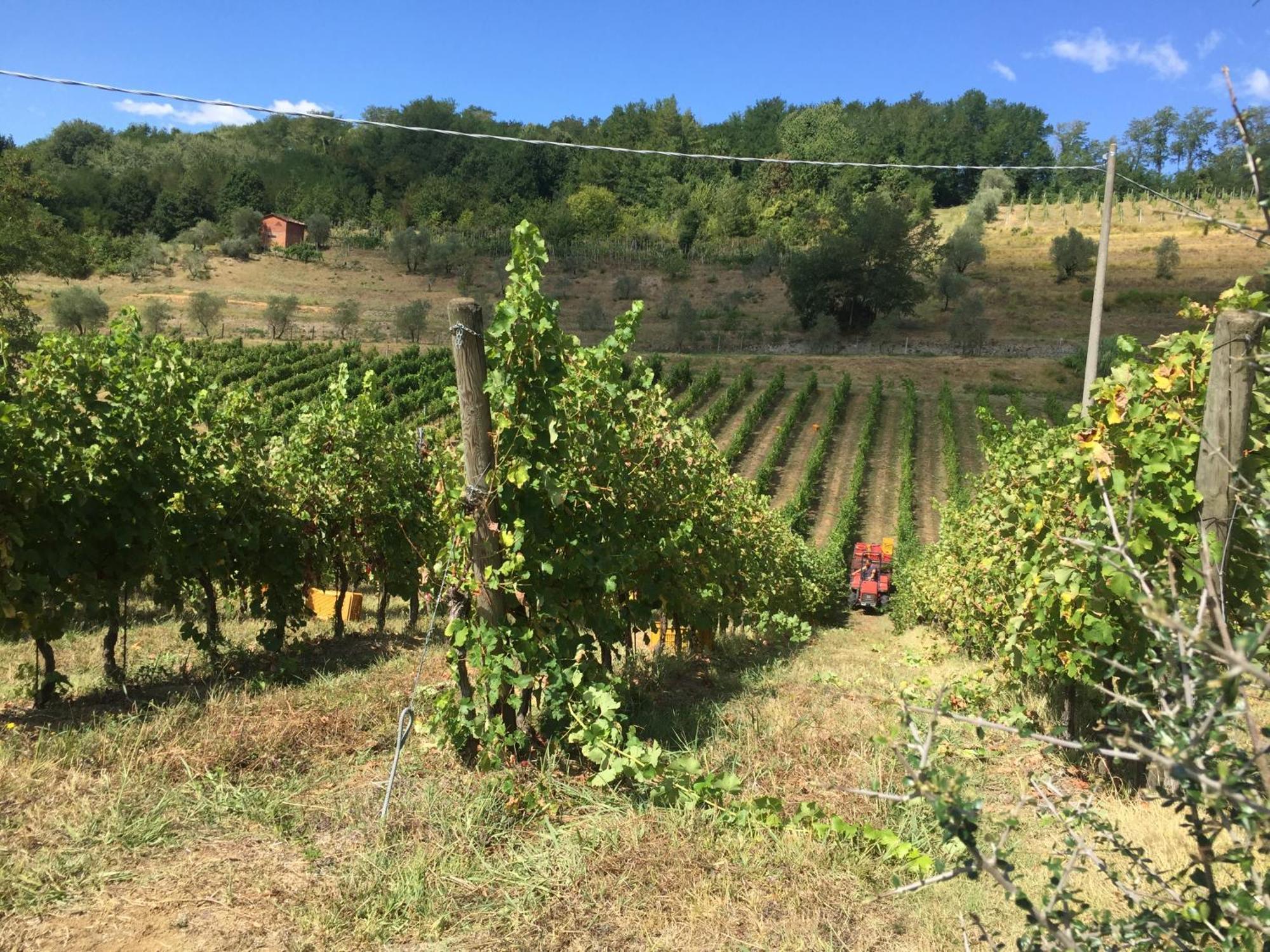 Agriturismo Il Bardellino Fivizzano Ngoại thất bức ảnh
