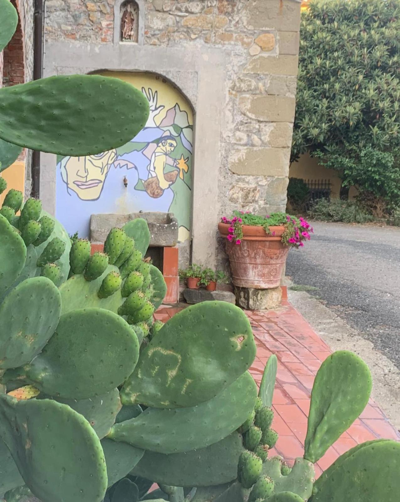 Agriturismo Il Bardellino Fivizzano Ngoại thất bức ảnh