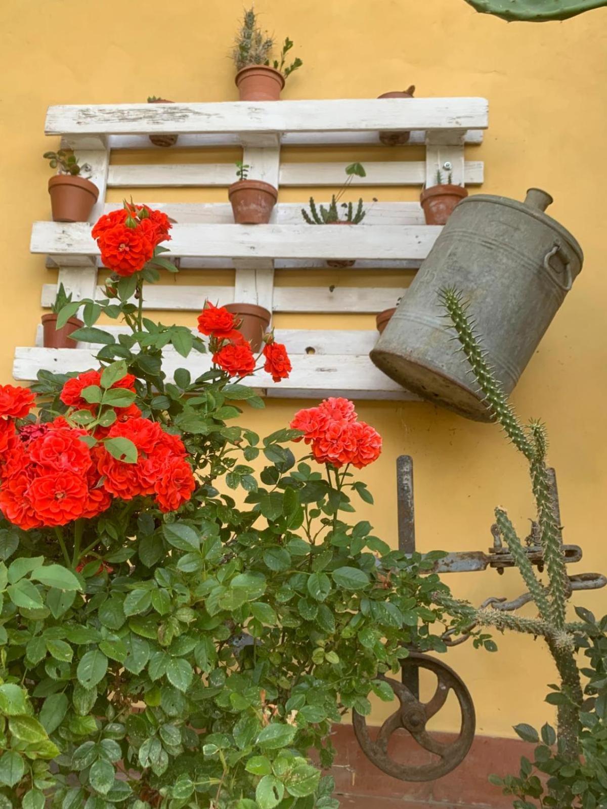 Agriturismo Il Bardellino Fivizzano Ngoại thất bức ảnh